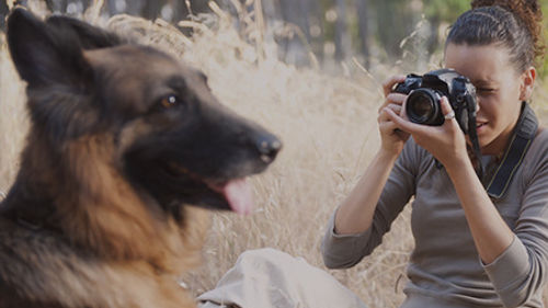 Photographie de Nature & Animalière