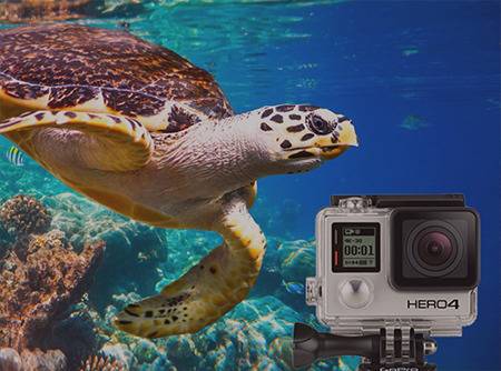 GoPro - Maîtriser sa GoPro des réglages au montage | 
