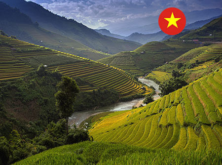 Vietnamien - Express - Apprendre le vietnamien en ligne pour débutant | 