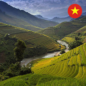 Vietnamien - Express