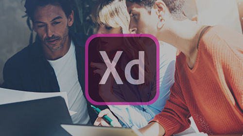 Adobe XD : les Fondamentaux