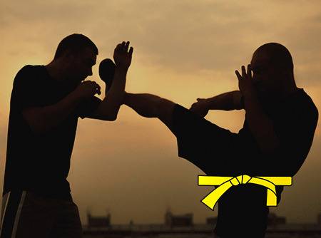 Krav Maga : Ceinture jaune - Apprendre les techniques de self défense pour passer ceinture jaune | 