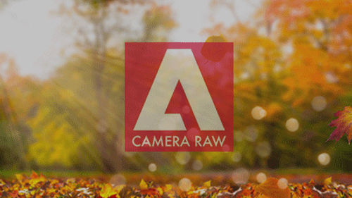 Camera Raw : les Fondamentaux