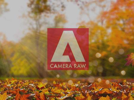 Camera Raw : les Fondamentaux - Maîtriser les bases du logiciel Camera Raw | 