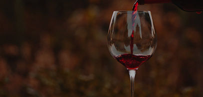 Œnologie : Les vins de Bordeaux