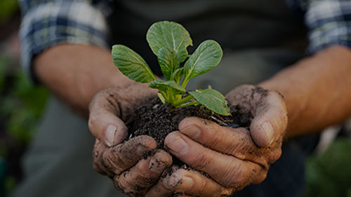 Jardinage : les Fondamentaux