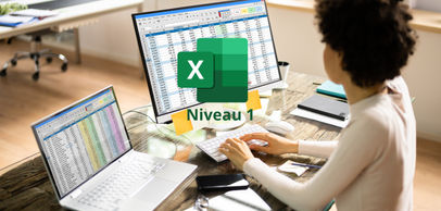 Excel 365 : Prise en main (Niveau 1)