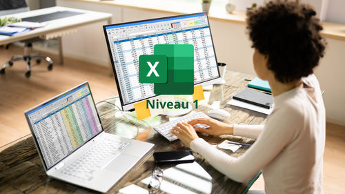 Excel 365 : Prise en main (Niveau 1)