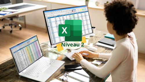 Excel 365 : Gestion opérationnelle (Niveau 2)